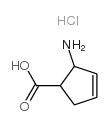 cis-2- Amino-3-cyclopentene-1-carboxylic acid hydrochloride picture