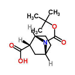 7-(叔丁氧羰基)-7-氮杂双环[2.2.1]庚烷-2-甲酸图片