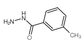 3-Methyl-Benzoylhydrazide picture