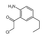 Ethanone, 1-(2-amino-5-propylphenyl)-2-chloro- (9CI) picture