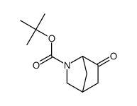 6-氧代-2-氮杂双环[2.2.1]庚烷-2-羧酸叔丁酯图片