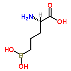 L-Norvaline, 5-borono- (9CI) picture