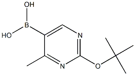 4-Methyl-2-(tert-butoxy)pyrimidine-5-boronic acid结构式