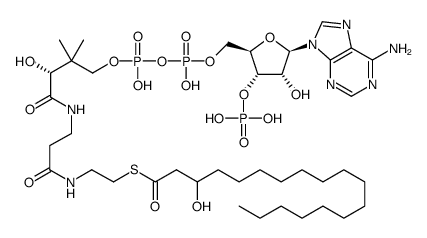 3-hydroxyoctadecanoyl-CoA结构式