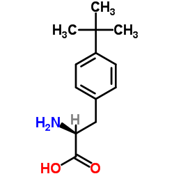 4-tert-Butylphenylalanine Structure