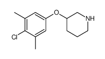 Piperidine, 3-(4-chloro-3,5-dimethylphenoxy) Structure