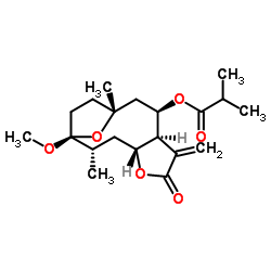 3-O-Methyltirotundin picture