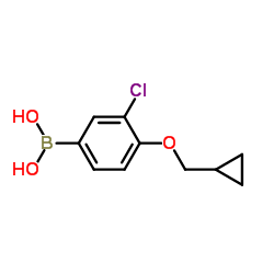 3-氯-4-(环丙基甲氧基)苯基硼酸结构式