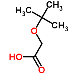 tert-Butoxyacetic acid Structure