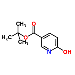 6-Hydroxy-nicotinic acid tert-butyl ester Structure