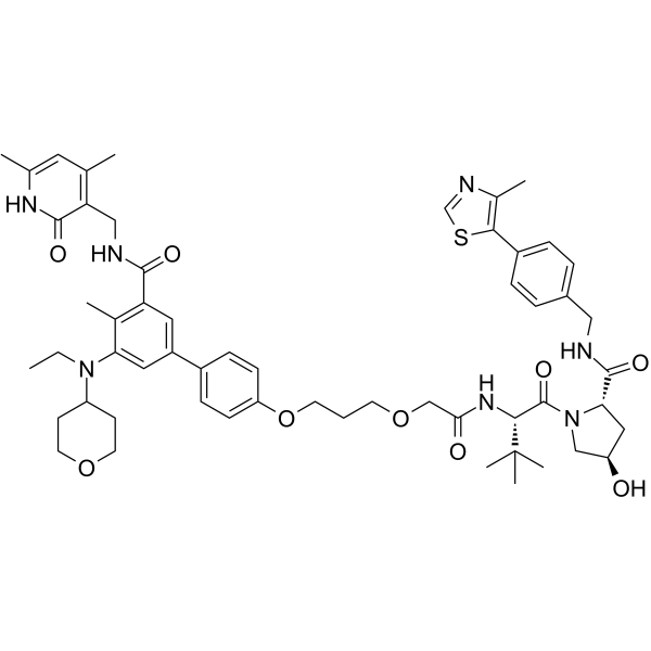 YM281 Structure