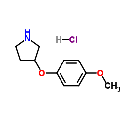 3-(4-METHOXYPHENOXY)PYRROLIDINE HYDROCHLORIDE图片