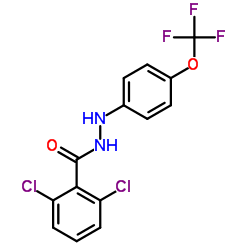 2,6-DICHLORO-N'-[4-(TRIFLUOROMETHOXY)PHENYL]BENZENECARBOHYDRAZIDE picture