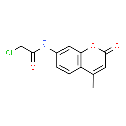 2-CHLORO-N-(4-METHYL-2-OXO-2 H-CHROMEN-7-YL)-ACETAMIDE Structure