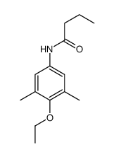 N-(4-ethoxy-3,5-dimethylphenyl)butanamide结构式