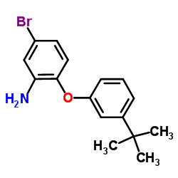 5-Bromo-2-[3-(2-methyl-2-propanyl)phenoxy]aniline结构式