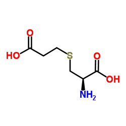 CEC Structure