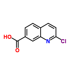 2-chloroquinoline-7-carboxylic acid structure