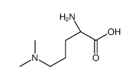 L-Ornithine, N5,N5-dimethyl- (9CI) picture