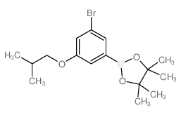 2-(3-Bromo-5-isobutoxyphenyl)-4,4,5,5-tetramethyl-1,3,2-dioxaborolane picture