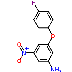 3-(4-FLUORO-PHENOXY)-5-NITRO-PHENYLAMINE picture