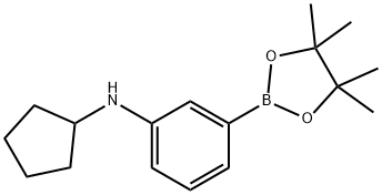 3-环戊氨基苯硼酸频哪醇酯图片