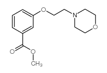 methyl 3-(2-morpholin-4-ylethoxy)benzoate picture