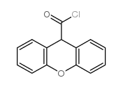 9h-xanthene-9-carbonyl chloride picture