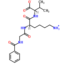 Hippuryl-Lys-Val-OH结构式