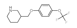 3-[[4-(trifluoromethoxy)phenoxy]methyl]piperidine Structure