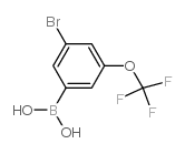(3-Bromo-5-(trifluoromethoxy)phenyl)boronic acid structure