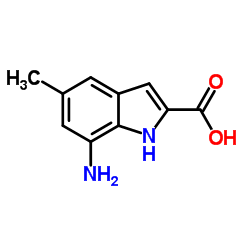 7-Amino-5-methyl-1H-indole-2-carboxylic acid Structure