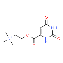 [2-[[(1,2,3,6-tetrahydro-2,6-dioxo-4-pyrimidyl)carbonyl]oxy]ethyl]trimethylammonium structure