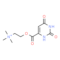 [2-[[(1,2,3,6-tetrahydro-2,6-dioxo-4-pyrimidyl)carbonyl]oxy]ethyl]trimethylammonium Structure