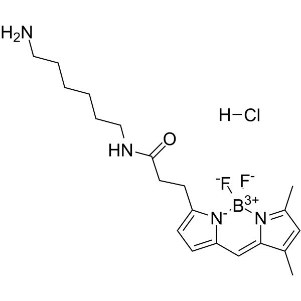 BDP FL amine structure