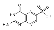 2-amino-4-oxo-3,4-dihydro-pteridine-6-sulfonic acid Structure