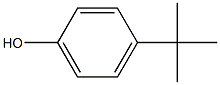 4-(1,1-dimethylethyl)-phenol,homopolymer结构式