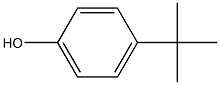 4-(1,1-dimethylethyl)-phenol,homopolymer picture