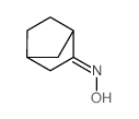 (NZ)-N-norbornan-2-ylidenehydroxylamine structure