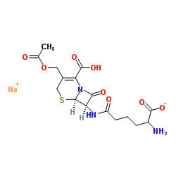 Cephalosporin C sodium salt Structure