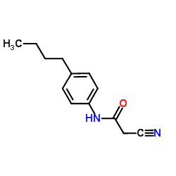 N-(4-BUTYL-PHENYL)-2-CYANO-ACETAMIDE结构式