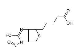 Nitrosobiotin Structure