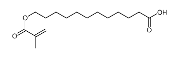 12-(2-methylprop-2-enoyloxy)dodecanoic acid Structure
