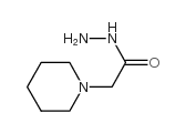 2-(1-piperidinyl)acetohydrazide(SALTDATA: FREE) structure