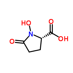 L-Proline, 1-hydroxy-5-oxo- (9CI) structure