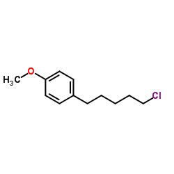 1-(5-Chloropentyl)-4-methoxybenzene Structure