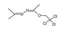 2,2,2-trichloroethylN-(propan-2-ylidene)acetohydrazonate结构式