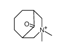 3-Azoniabicyclo[3.3.1]nonane, 3,3-dimethyl-9-oxo结构式