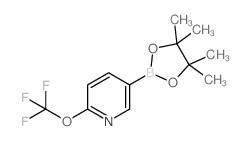 5-(4,4,5,5-四甲基-1,3,2-二噁硼烷-2-基)-2-(三氟甲氧基)吡啶结构式