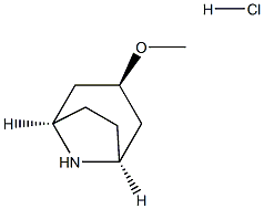 endo-3-甲氧基-8-氮杂双环[3.2.1]辛烷盐酸盐图片